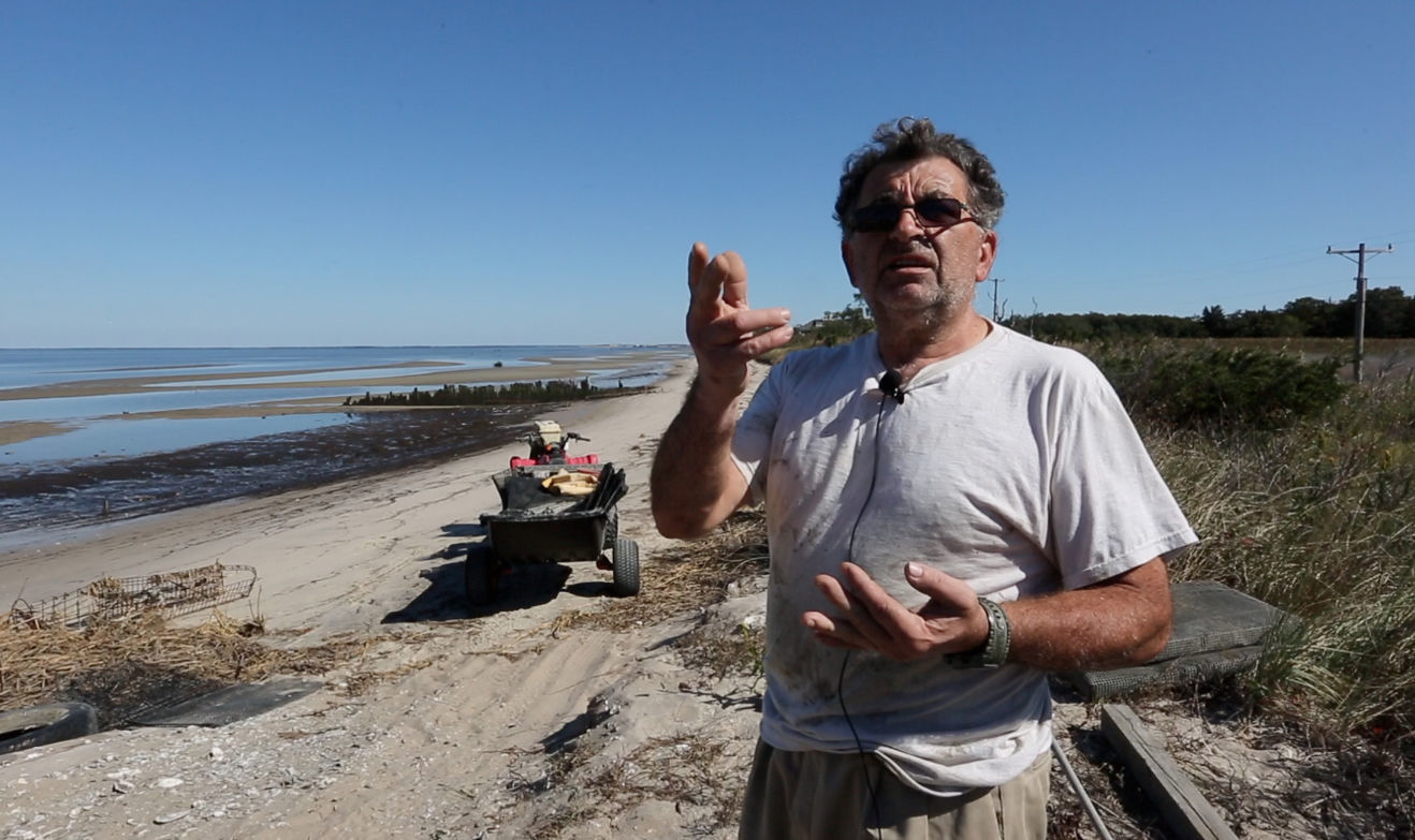 Delaware Bay Oyster Farming